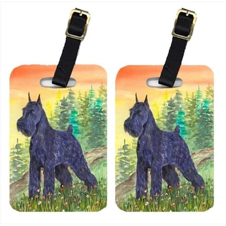 Carolines Treasures Carolines Treasures SS1051BT Schnauzer Luggage Tag - Pair 2; 4 x 2.75 In. SS1051BT